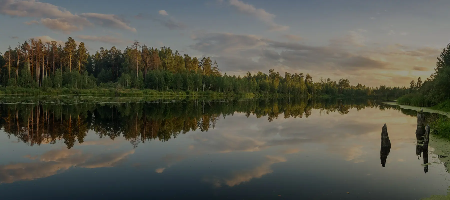 King Communications | Réalisations | Domaine Lakefield